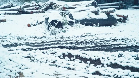 Snow in Sawmill Tilt Down 1 Видео 133687010