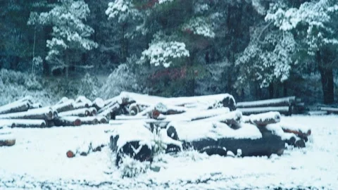 Snow in Sawmill Tilt Down 2 Видео 133686231