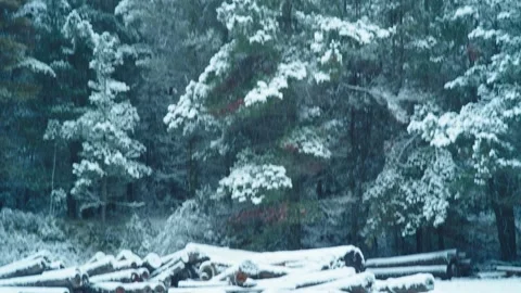 Snow in Sawmill Tilt Up Видео 133686457