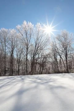 Snow scape Stock Photos
