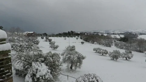 Snow at Scapezzano 2017 Stock Footage 94916623