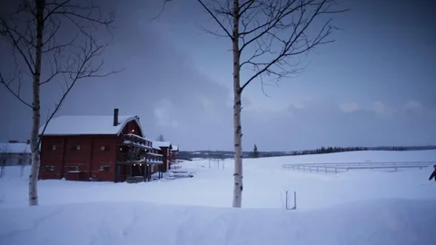 Snow scene 2 Stock Footage 126302555