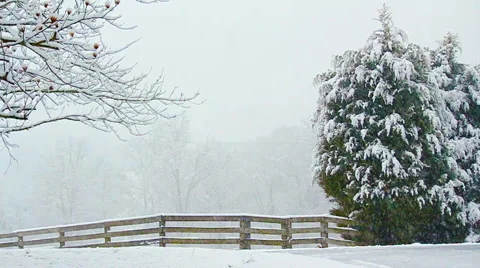 Snow Scene Stock Footage 1000593