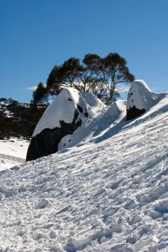 Snow Scene Stock Photos