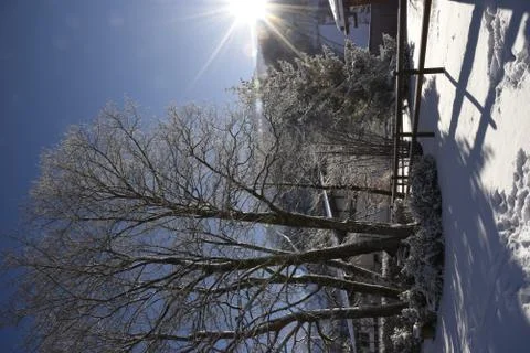 Snow scene Stock Photos