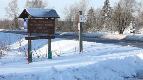 Snow scenery Video stock 13332063