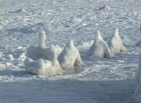 Snow serpent baby, widens to include parent Stock Footage 221090387