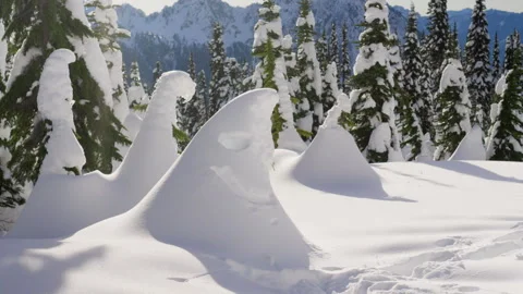 Snow Shapes Stock-Footage 315114839