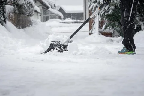 Snow is shed while it is snowing 写真素材