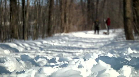 Snow shoe 01 Stock Footage 36621356