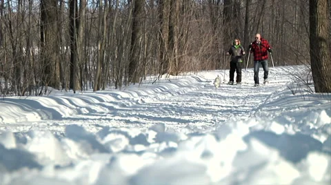 Snow shoe 02 Stock Footage 36622930