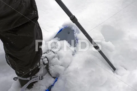 Snow shoe closeup Stock Photos