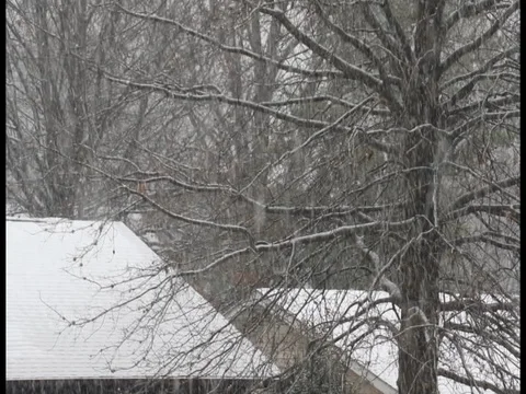 Snow showers falling on the rooftops Stock-Footage 83797485