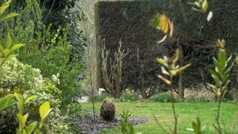 Snow showers in the spring. Vídeos de archivo 153887743