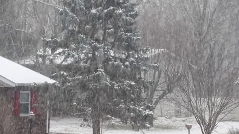 Snow showers in the suburbs Stock-Footage 83796376