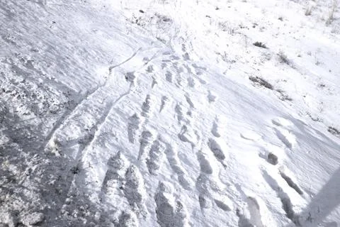 Snow-slide from the road Foto stock