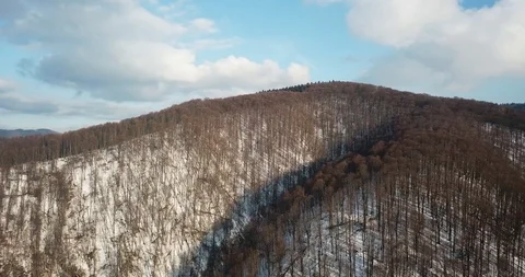 Snow slope mountains trees drone Stockbeeldmateriaal 125037639