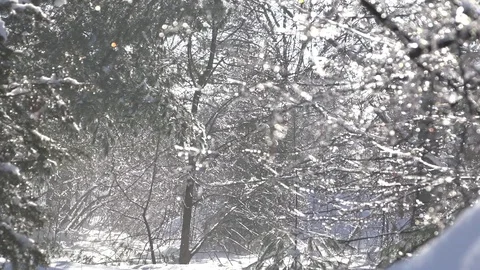 Snow in Slow Motion 1 Stock Footage 130092308