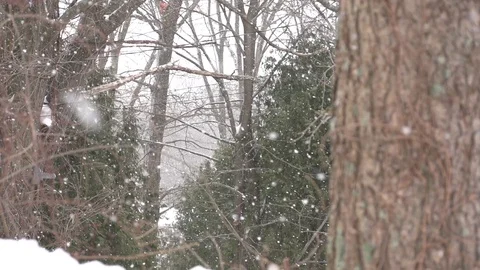 Snow in Slow Motion 2 Stock Footage 130092315