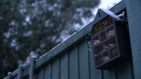Snow in Slow Motion falling past bee house Stock Footage 110857475