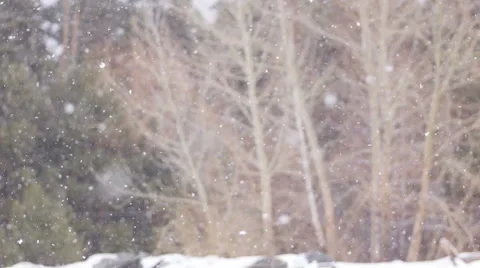 Snow slow motion falling. Snowflakes with selective focus. Stock-Footage 61362221