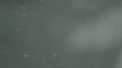 Snow slow motion 库存影片 81281117