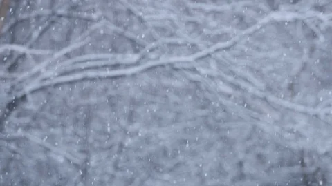 Snow Slow Motion Stock Footage 124914760