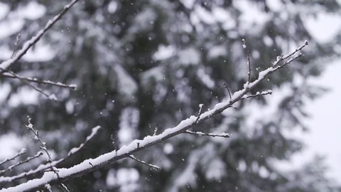 Snow in slow motion moving handheld shot Stock Footage 75912967
