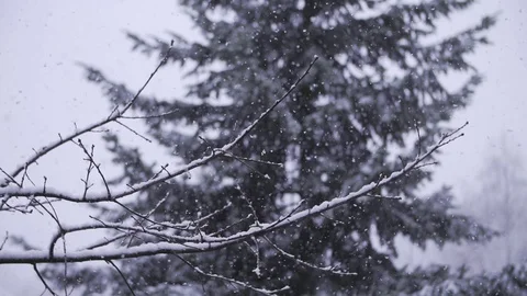 Snow in slow motion static handheld shot Stock Footage 75909305