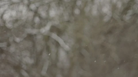 Snow SlowMo60 SnowFalling 1 Video stock 88386946