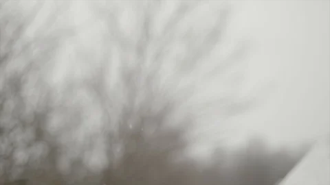 Snow SlowMo60 SnowFalling 2 Video stock 88386933