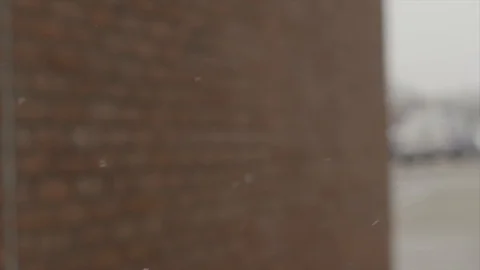 Snow SlowMo60 SnowFalling 4 Video stock 88386960