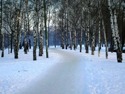 Snow small road Stock Photos
