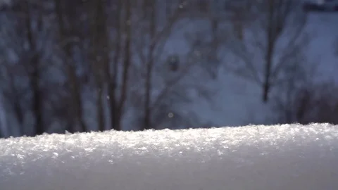 Snow with snowflakes close-up, soft focus forest background Stock Footage 123570811