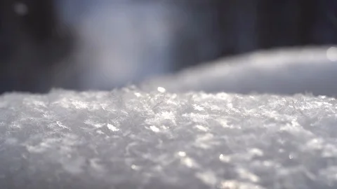Snow with snowflakes close-up, soft focus forest background Stock Footage 123570818
