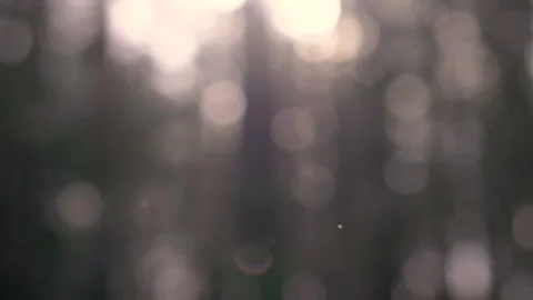 Snow. Snowflakes fall to the ground. Stock Footage 152994927