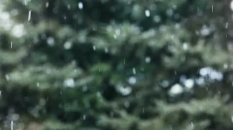 Snow / snowflakes Vídeos de archivo 10579945