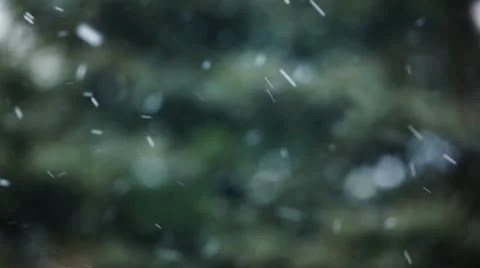 Snow / snowflakes Stock-Footage 10579952