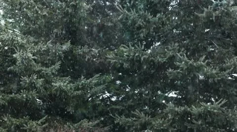 Snow / snowflakes Stock-Footage 10580017