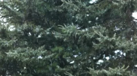 Snow / snowflakes Stock Footage 10580032