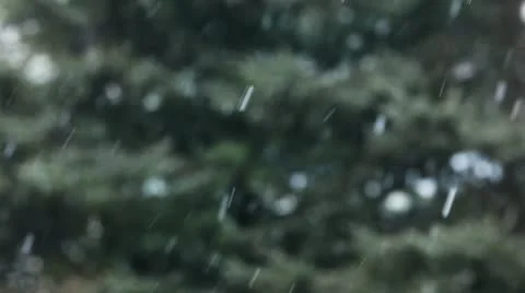 Snow / snowflakes Stock-Footage 10580406