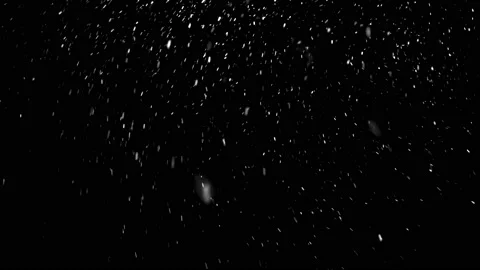 Snow snowing on black background Stock Footage 166721136