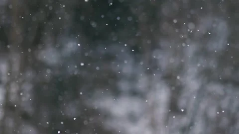Snow is snowing in blurred winter background, peaceful nature slow motion Stock Footage 262538528