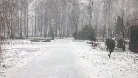 Snow Snowstorm in the Park Stock Footage 126637217