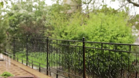 Snow in spring is beautiful Stock Footage 244698148