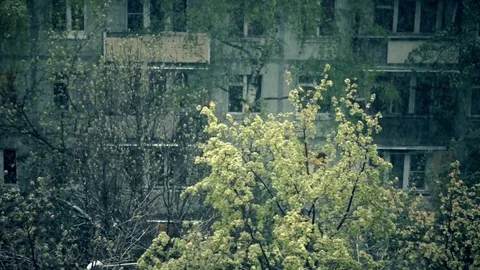 Snow in spring Stock Footage 77072757