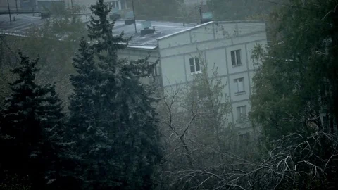 Snow in spring Stock Footage 77074695