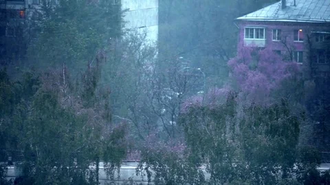 Snow in spring Stock Footage 77092533