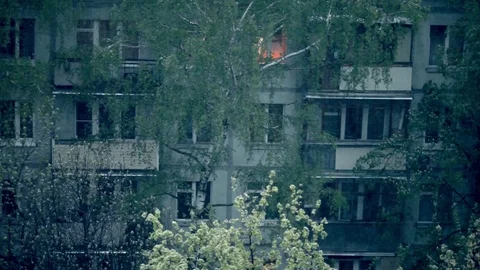 Snow in spring Stock Footage 77097955