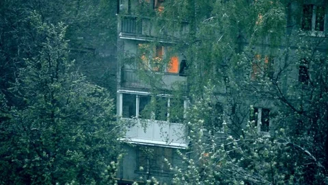 Snow in spring Stock Footage 77099137